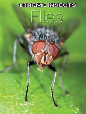 cover image of Flies